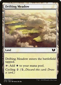 Drifting Meadow 282 C