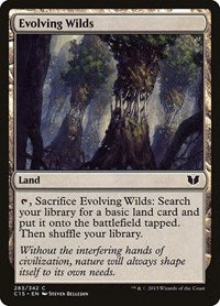 Evolving Wilds 283 C