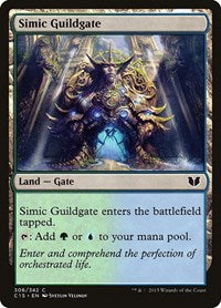 Simic Guildgate 306 C