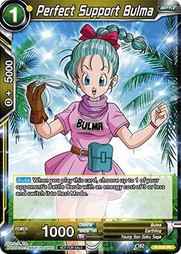 Perfect Support Bulma P-034 Promo