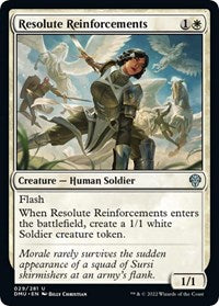 Resolute Reinforcements 29 U