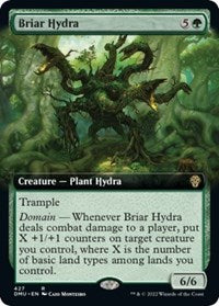 Briar Hydra (Extended Art) 427 R