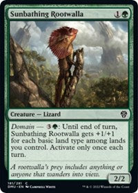 Sunbathing Rootwalla 181 C