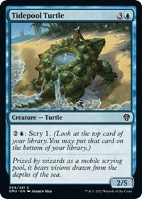 Tidepool Turtle 69 C