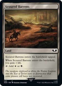 Scoured Barrens (Surge Foil) 293 C