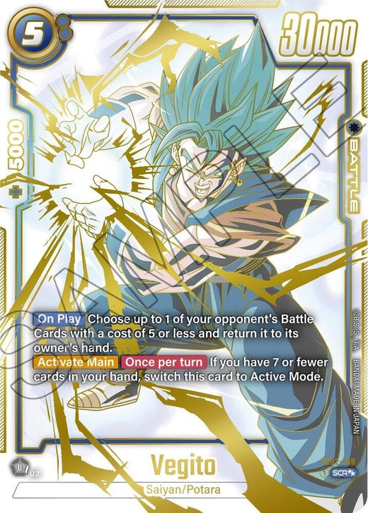 Vegito FB02-139 SCR SA