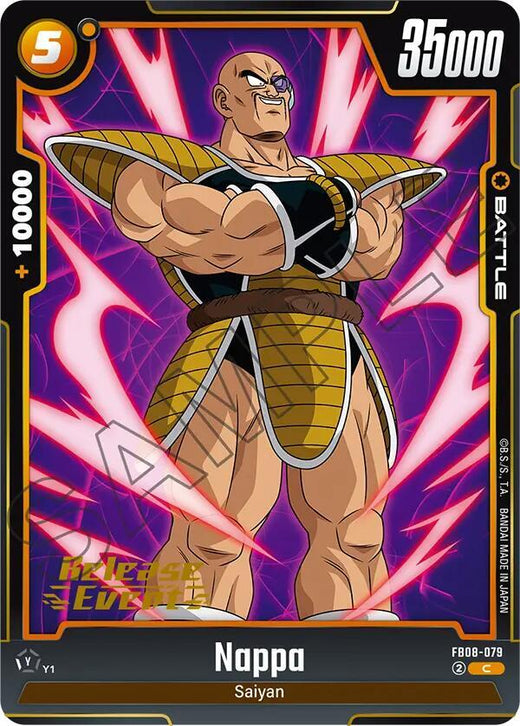 Nappa FB08-079 C