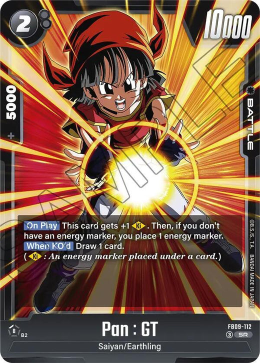 Pan : GT FB09-112 SR Foil