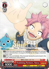 Frolicking Partners, Natsu | FAIRY TAIL 100 YEARS QUEST | Common | Normal | #FT/S120-E066 C