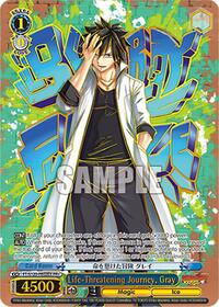 Life-Threatening Journey, Gray (PR+) | FAIRY TAIL 100 YEARS QUEST | Promo + | Unspecified | #FT/S120-PE02EX PR+