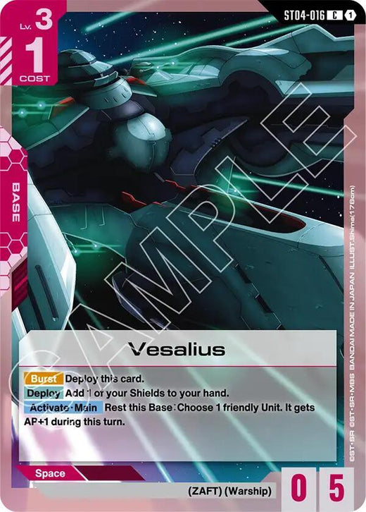Vesalius ST04-016 Common