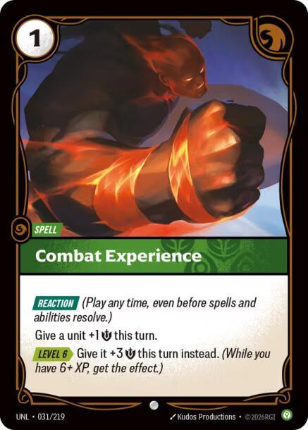 Experiencia de Combate 031/219 Común