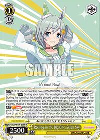 Reeling in the Big One, Seiun Sky | Umamusume: Pretty Derby | Rare | Normal | #UMA/W106-E008