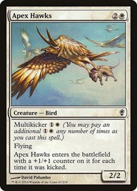 Apex Hawks 67 C
