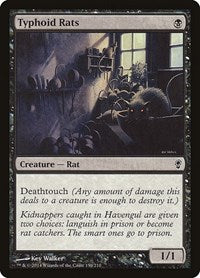 Typhoid Rats 130 C