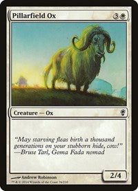 Pillarfield Ox 76 C
