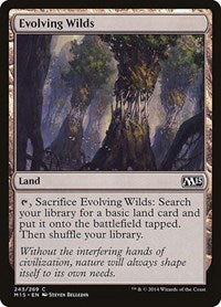 Evolving Wilds 243 C