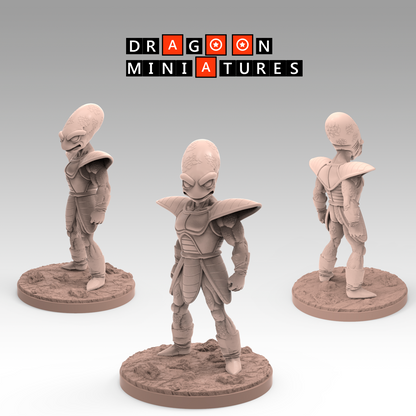 2022.10 Namek Saga Begins! Resin 3D Printed Miniatures Set - Appule, Bases, Bulma, Cui, Dodoria, Frieza, Gohan, Krillin, Super Zarbon, Vegeta, Zarbon - Dragoon Miniatures