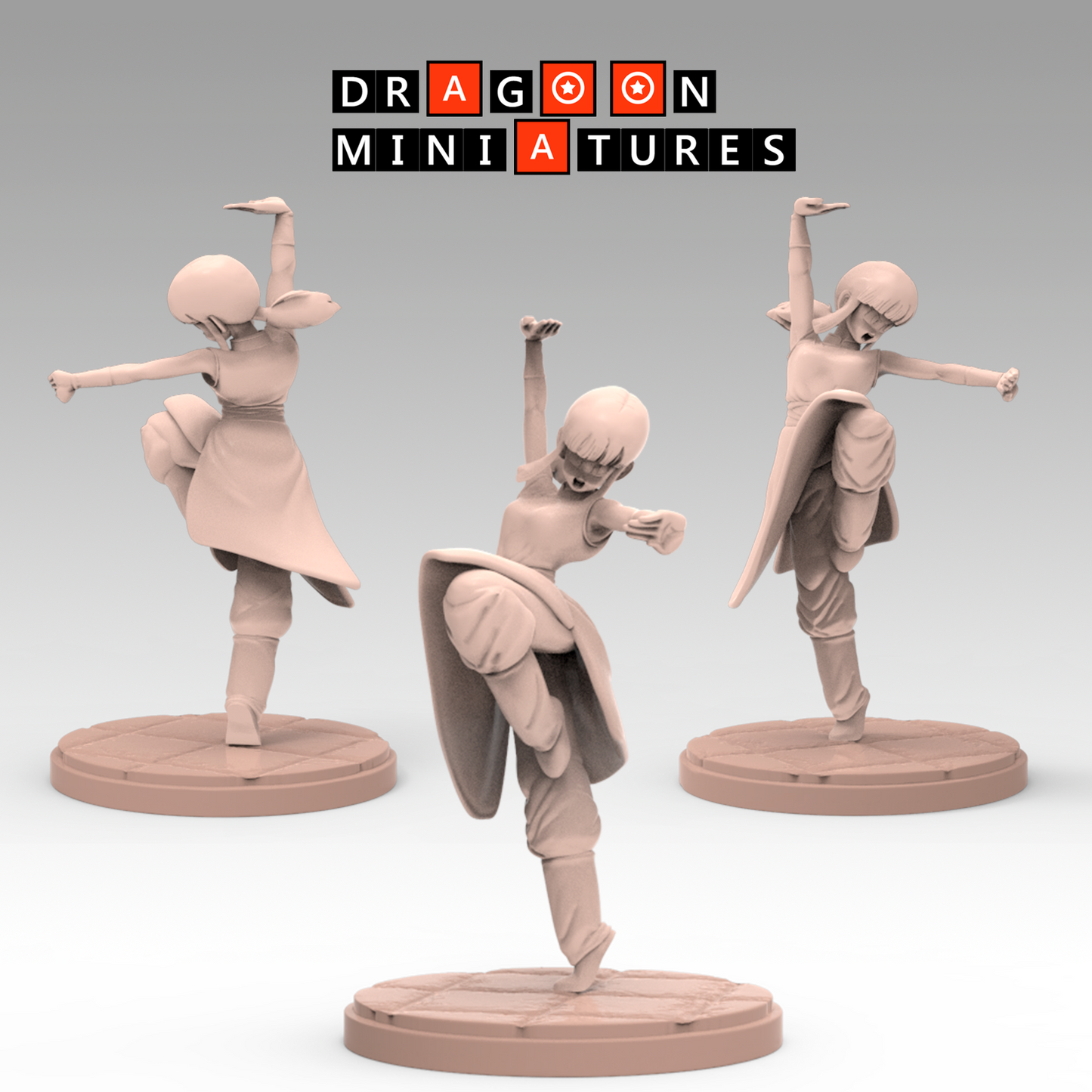 2022.11 Dragoon Miniatures November 2022 Bonus Release: Chichi Anonymous Fighter Tenkaichi Budokai