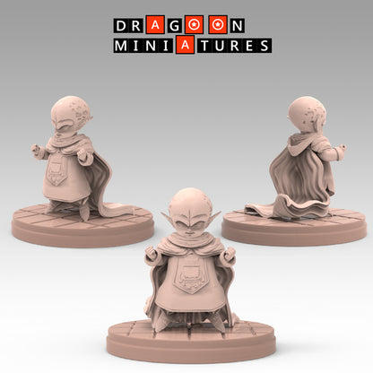 2023.03 Garlick's Sagas: Resin 3D Printed Miniatures Set - Garlick, Ginger, Mustard, Nikki, Salt, Samsho, Spice, Super Garlick, Vinegar - Dragoon Miniatures