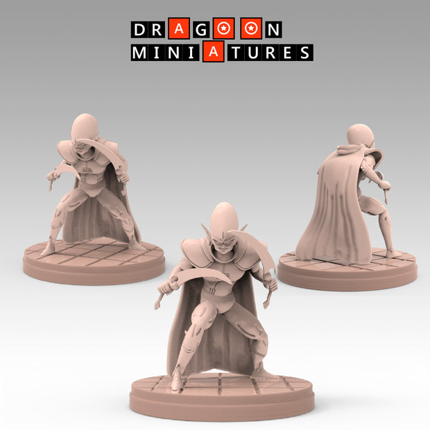 2023.03 Garlick's Sagas: Resin 3D Printed Miniatures Set - Garlick, Ginger, Mustard, Nikki, Salt, Samsho, Spice, Super Garlick, Vinegar - Dragoon Miniatures