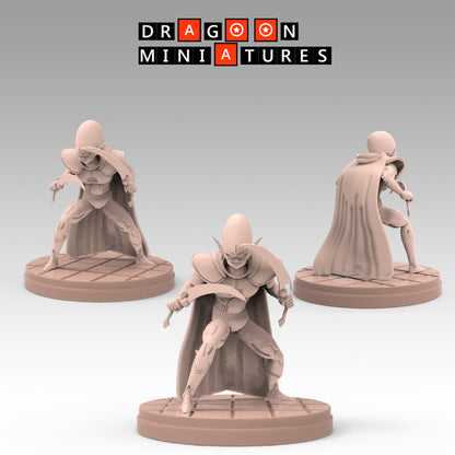 2023.03 Garlick's Sagas: Resin 3D Printed Miniatures Set - Garlick, Ginger, Mustard, Nikki, Salt, Samsho, Spice, Super Garlick, Vinegar - Dragoon Miniatures