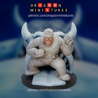 Dragoon Miniatures January 2026: Uranai Baba's Tournamente Saga