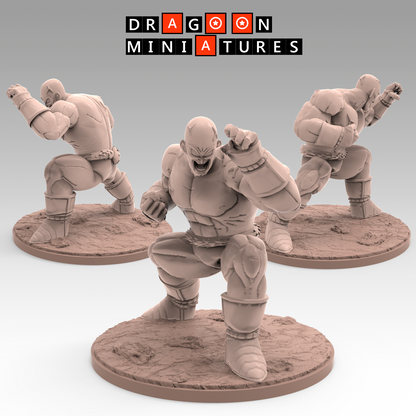 2022.09 - Saiyan Saga Part 2: Resin 3D Printed Miniatures Set - Chaoz, Gohan, Goku, Krillin, Nappa, Piccolo, Saibaiman, Tien, Vegeta, Yajirobe, Yamcha - Dragoon Miniatures