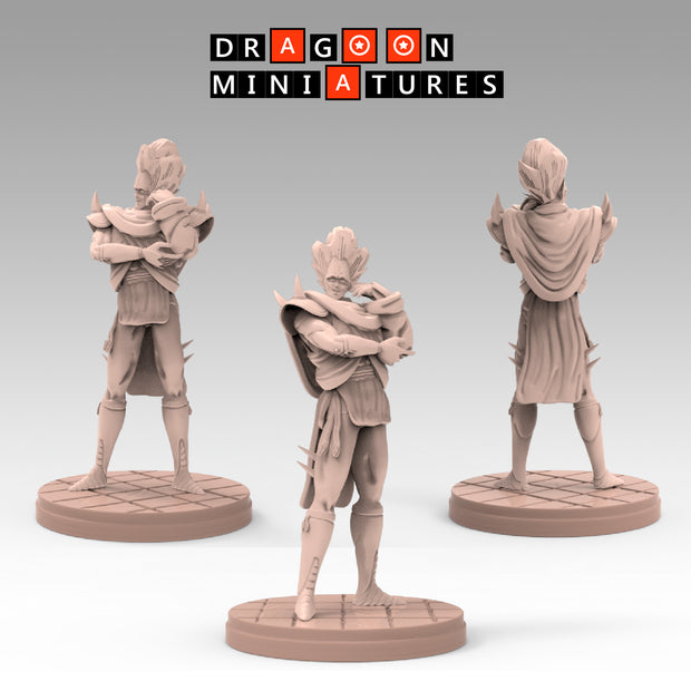 2023.03 Garlick's Sagas: Resin 3D Printed Miniatures Set - Garlick, Ginger, Mustard, Nikki, Salt, Samsho, Spice, Super Garlick, Vinegar - Dragoon Miniatures