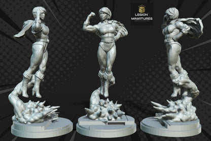 Legion Miniatures 2022.04 DC