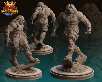 Legion Miniatures 2023.02 MV