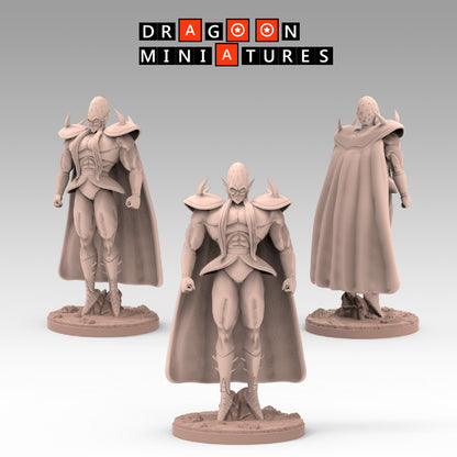 2023.03 Garlick's Sagas: Resin 3D Printed Miniatures Set - Garlick, Ginger, Mustard, Nikki, Salt, Samsho, Spice, Super Garlick, Vinegar - Dragoon Miniatures