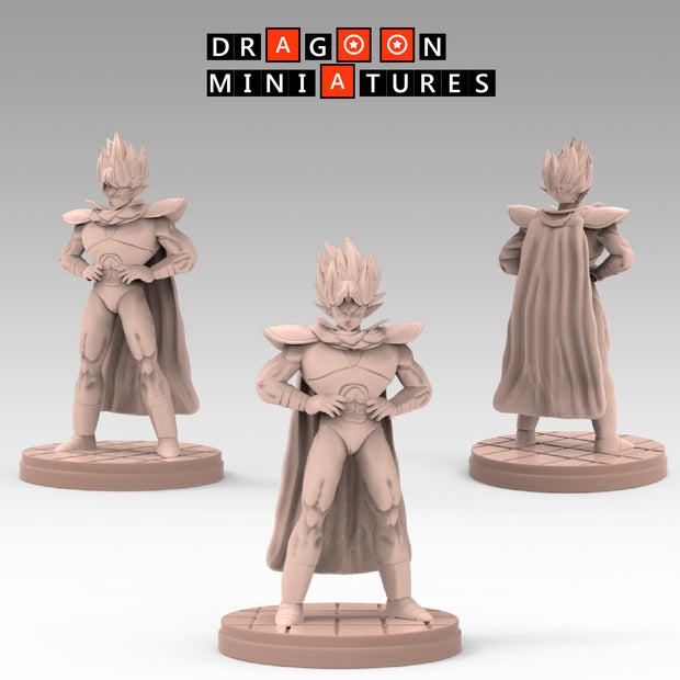 2023.03 Garlick's Sagas: Resin 3D Printed Miniatures Set - Garlick, Ginger, Mustard, Nikki, Salt, Samsho, Spice, Super Garlick, Vinegar - Dragoon Miniatures