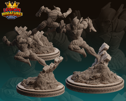 Legion Miniatures 2022.12 DC